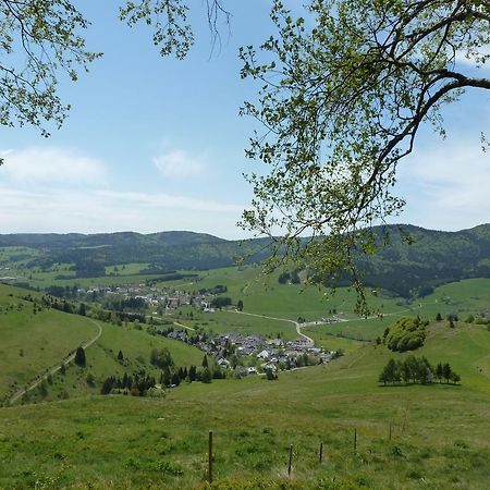 Appartement Wohnpark Schwarzwaldblick Bernau Extérieur photo